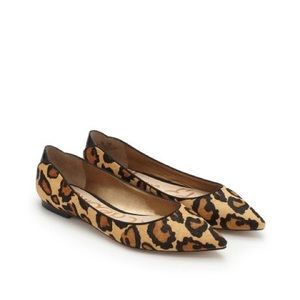 Sam Edelman | Rae Leopard Print Flat